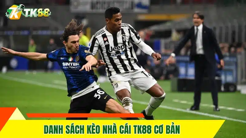 Đối Tác BTi - Đồng Hành Cùng TK88 Tại Các Giải Đấu Sports 11 Danh sách kèo nhà cái Tk88 cơ bản