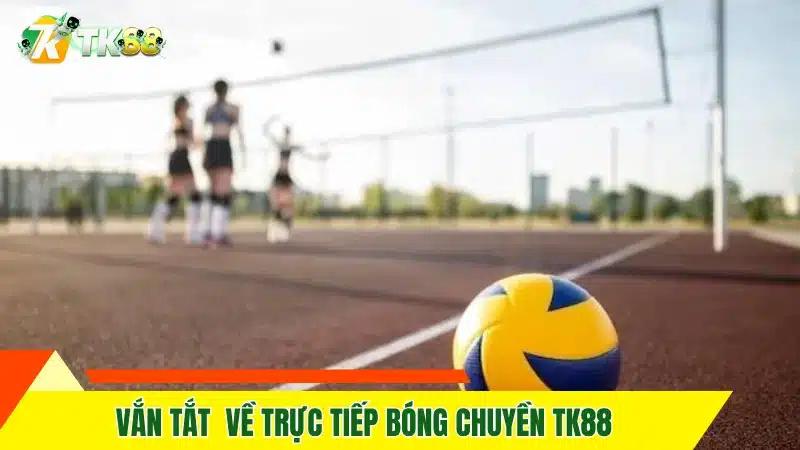 Đối Tác BTi - Đồng Hành Cùng TK88 Tại Các Giải Đấu Sports 11 Vắn tắt về trực tiếp bóng chuyền TK88
