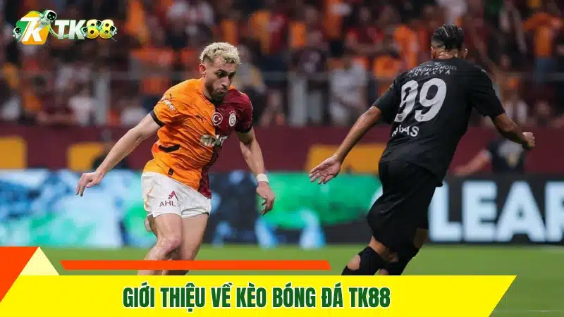 Đối Tác BTi - Đồng Hành Cùng TK88 Tại Các Giải Đấu Sports 11 Giới thiệu về kèo bóng đá TK88